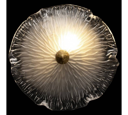 Накладной светильник Loft it Bloom 10352W/B AB