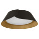 Накладной светильник Loft it Lane 10370 Black