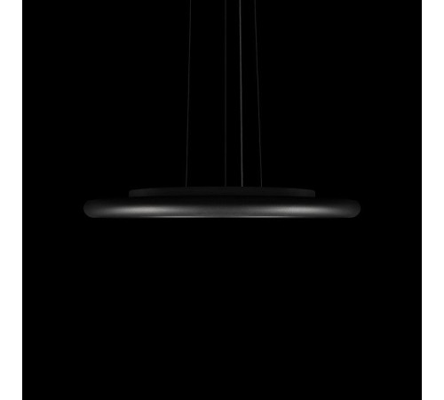 Подвесной светильник Loft it Sweety 10454/400P Black
