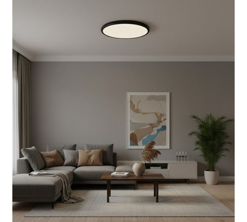 Накладной светильник Loft it Sweety 10454/500 Black