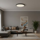 Накладной светильник Loft it Sweety 10454/500 Black
