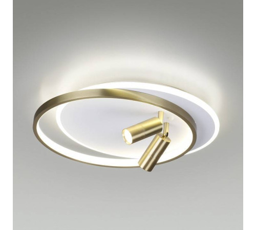 Накладной светильник Lumion Naoko 5603/63CL