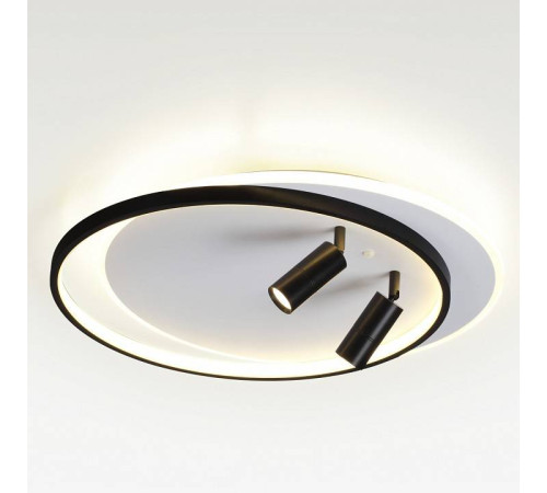 Накладной светильник Lumion Naoko 5603/75CL