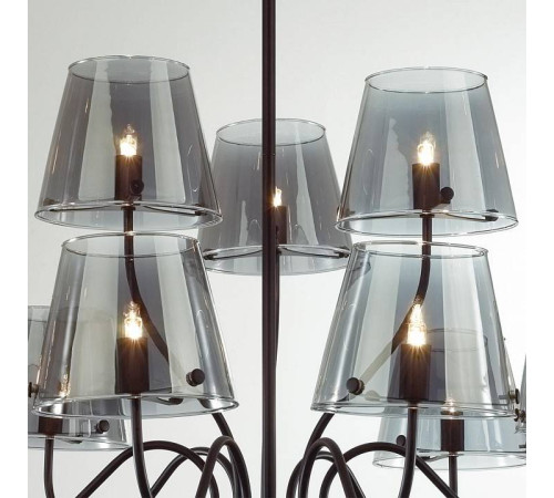 Люстра на штанге Lumion Smoky 6570/9C