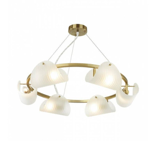 Подвесная люстра Lumion Fioro 6571/6