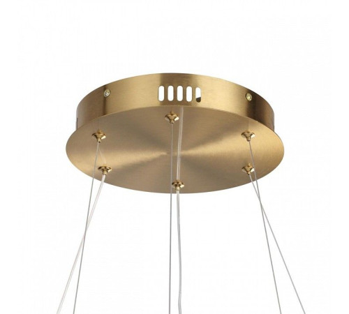 Подвесная люстра Lumion TWINKLE 8010/50L