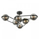 Люстра на штанге Lumion CAMILIE 8060/6C