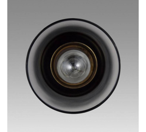 Подвесной светильник Lumion Isha 8101/1A