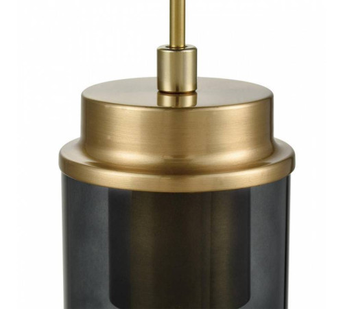 Подвесной светильник Lumion Isha 8101/1A