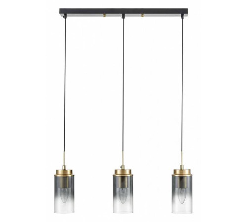 Подвесной светильник Lumion Isha 8101/3A