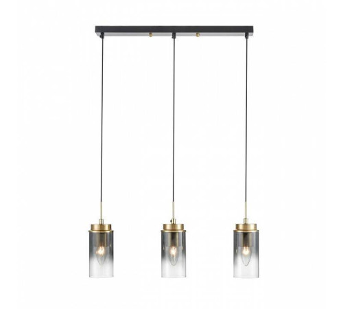 Подвесной светильник Lumion Isha 8101/3A