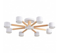 Люстра на штанге Lumion VUDI 8306/8C