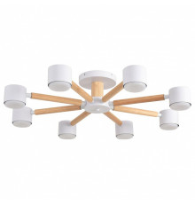 Люстра на штанге Lumion VUDI 8306/8C