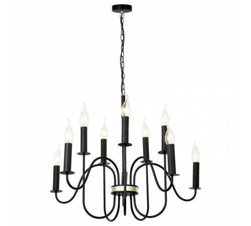 Подвесная люстра Lussole Roosevelt LSP-8198