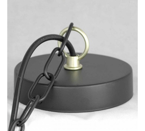 Подвесная люстра Lussole Roosevelt LSP-8198