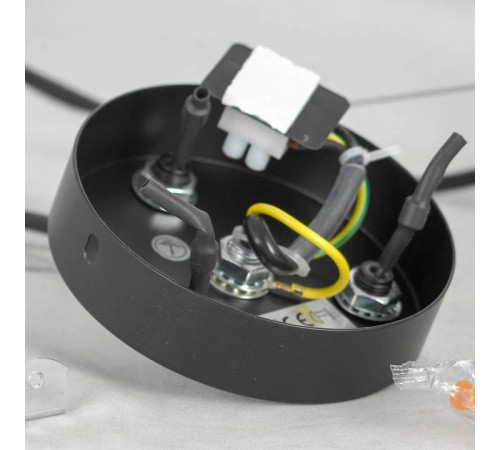 Подвесная люстра Lussole Fishers LSP-8797