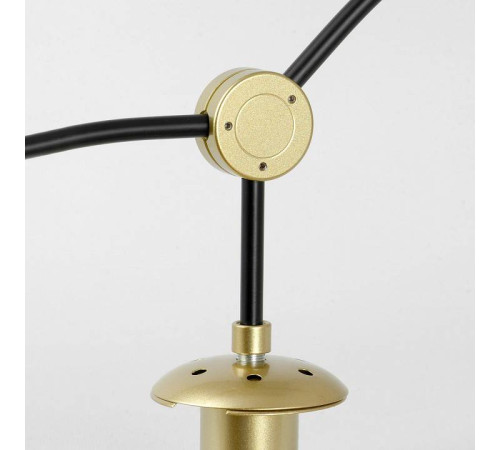 Люстра на штанге Lussole LSP-891 LSP-8913