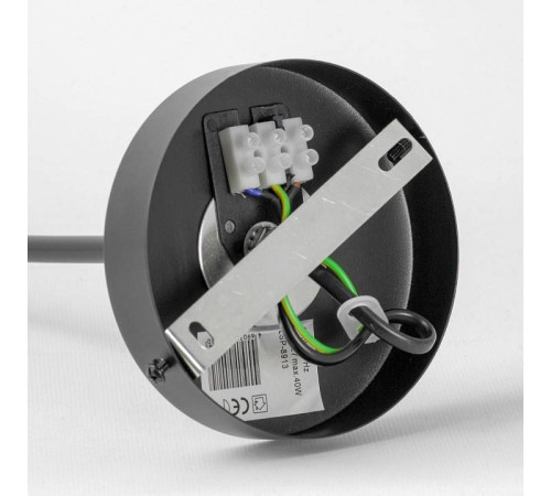 Люстра на штанге Lussole LSP-891 LSP-8913