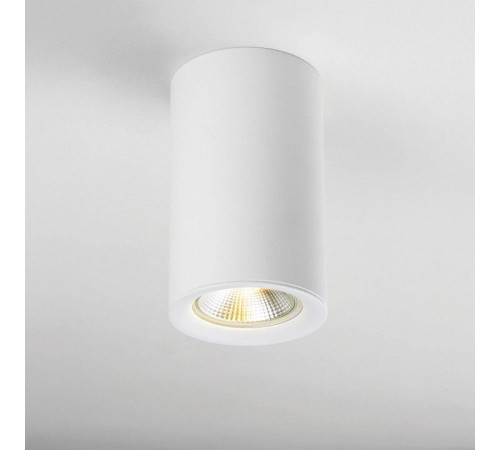 Рамка на 1 светильник Lightstar Rullo 204436