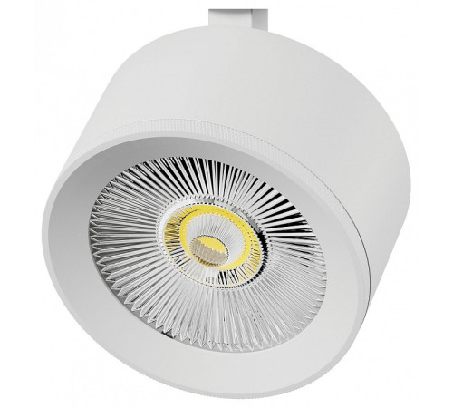 Плафон металлический Lightstar Alta Pro 215546