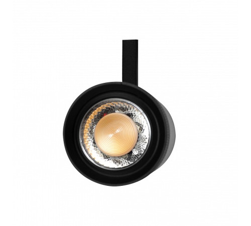 Светильник на штанге Lightstar Canno Pro 304207