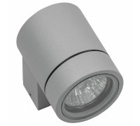 Светильник на штанге Lightstar Paro 350609