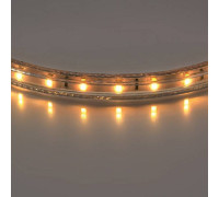 Лента светодиодная Lightstar  402002