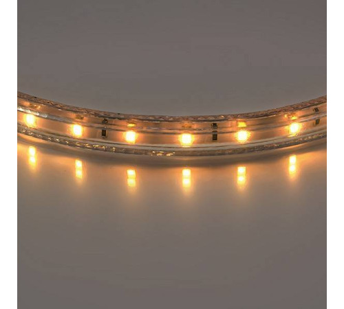 Лента светодиодная Lightstar 402002