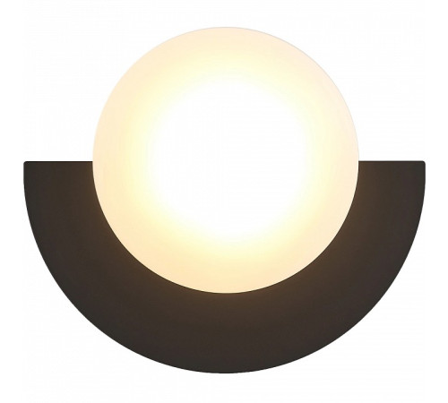 Накладной светильник Lightstar Erica 609637