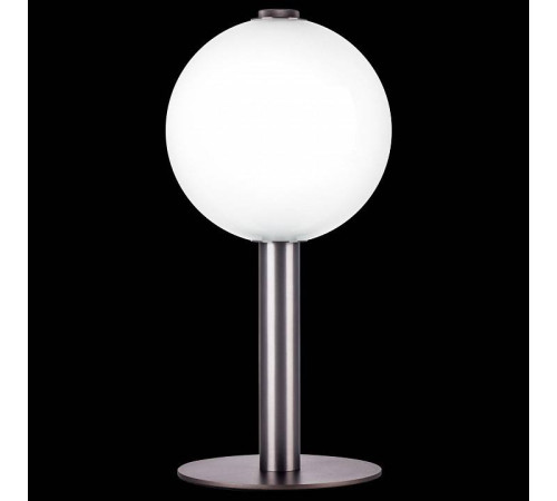 Настольная лампа декоративная Lightstar Colore 805916