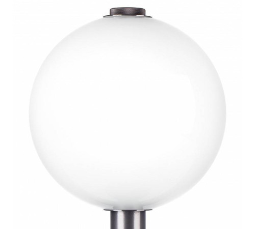 Настольная лампа декоративная Lightstar Colore 805916