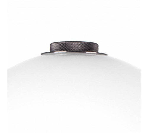 Настольная лампа декоративная Lightstar Colore 805916