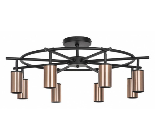 Люстра на штанге Lightstar Rullo LR718308