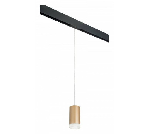 Подвесной светильник Lightstar Rullo PRORP44030