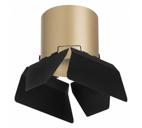 Накладной светильник Lightstar Rullo R3490487