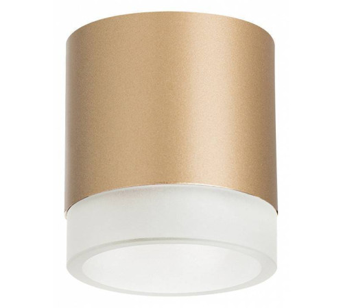 Накладной светильник Lightstar Rullo R349080