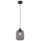 Подвесной светильник Moderli Olivia V11034-1P