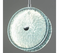 Подвесной светильник Moderli Marnia V11159-PL