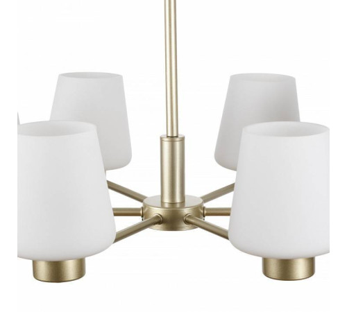 Подвесная люстра MyFar Mark MR2341-6P