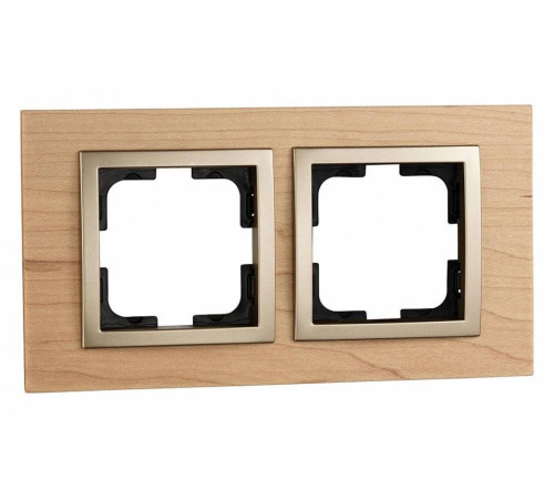 Рамка на 2 поста Mono Electric Style 107-520000-161