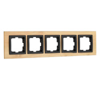 Рамка на 5 постов Mono Electric Style 107-520000-164