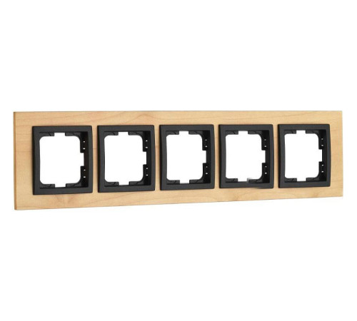 Рамка на 5 постов Mono Electric Style 107-520000-164