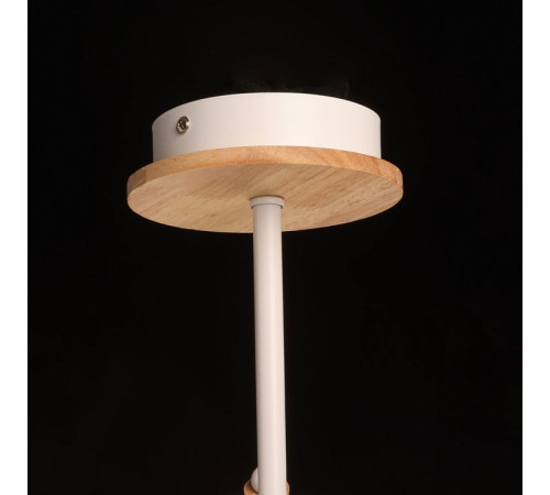 Люстра на штанге De City Дэла 5 635014805