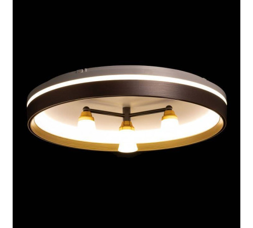 Потолочная люстра De City Семья 66 660014701