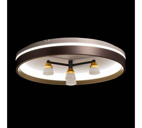 Потолочная люстра De City Семья 66 660014701