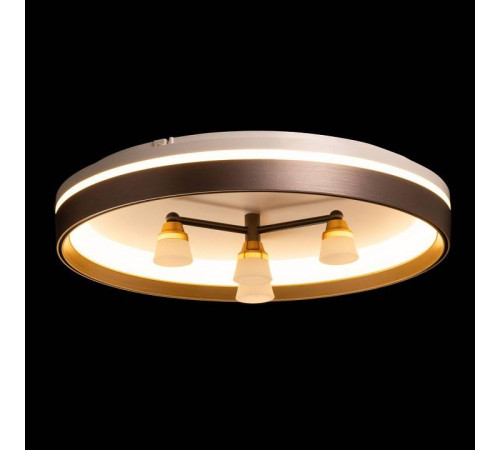 Потолочная люстра De City Семья 66 660014701