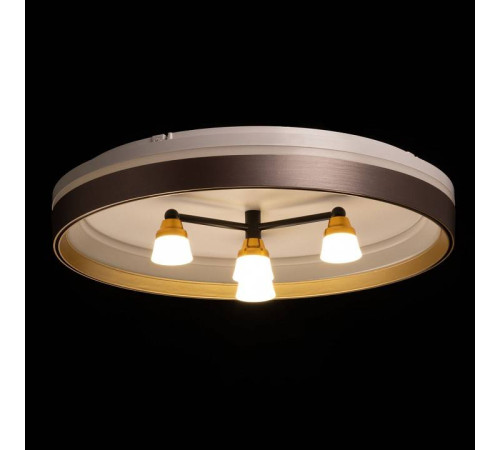 Потолочная люстра De City Семья 66 660014701