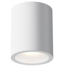 Накладной светильник Maytoni Conik gyps C001CW-01W-1