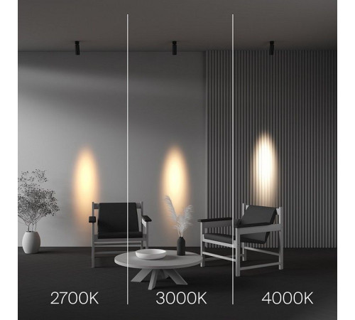 Светильник на штанге Maytoni Technical FOCUS LED C055CL-L12W2.7K-SS-B