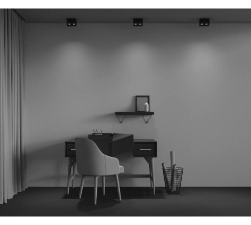 Накладной светильник Maytoni Alfa LED C065CL-02-L12W4K-B